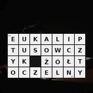 Rozwiązanie krzyżówki: lichenostomus melanops gatunek ptaka z rodziny miodojadów meliphagidae występujący w australii - eukaliptusowczyk żółtoczelny | hasła, synonimy i podpowiedzi Hasło krzyżówkowe lichenostomus melanops gatunek ptaka z rodziny miodojadów meliphagidae występujący w australii - eukaliptusowczyk żółtoczelny – rozwiązanie, synonimy, podpowiedzi i definicje krzyżówkowe